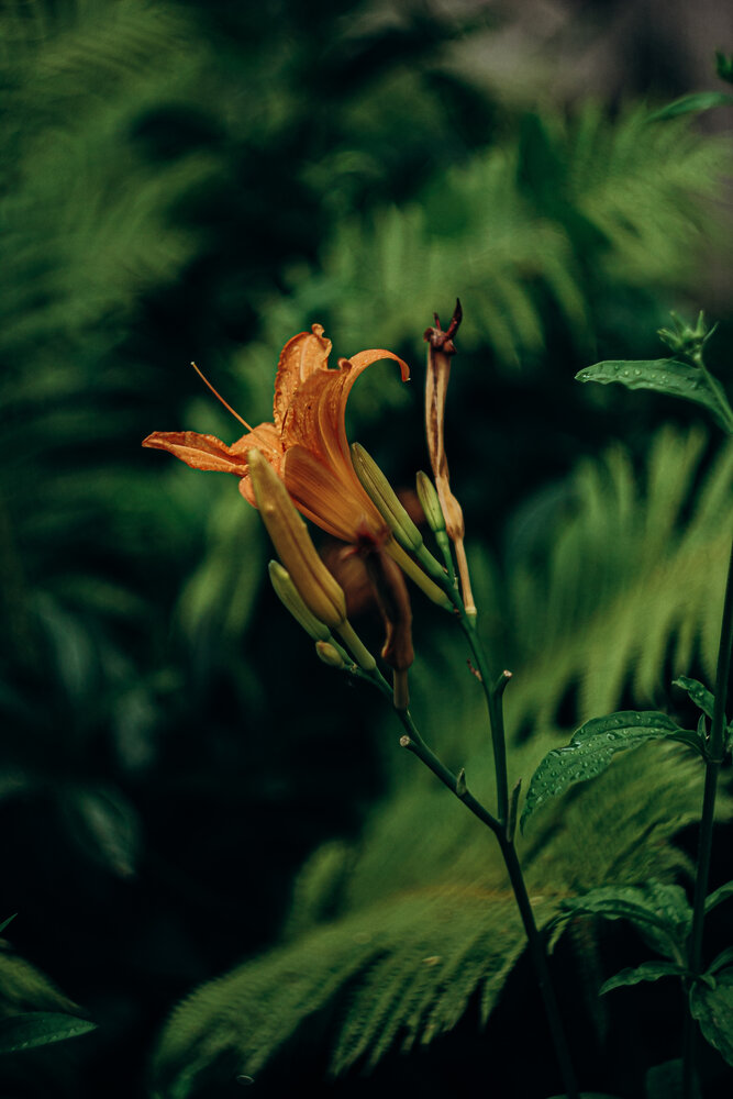 Photograph by Алиса Исаева