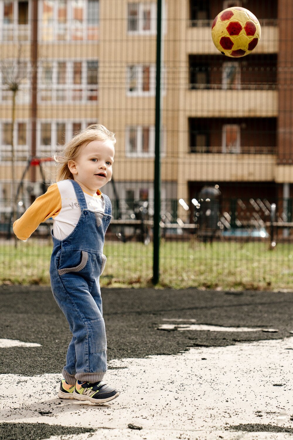Photo #13869911