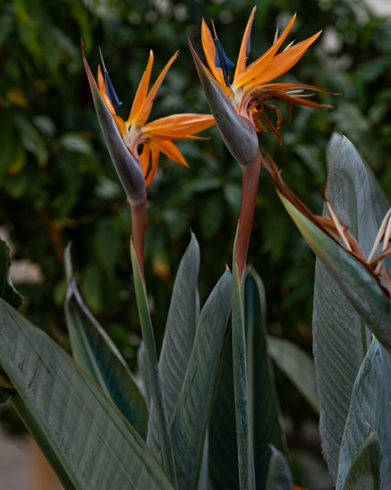 Photograph by Igor Shulkin