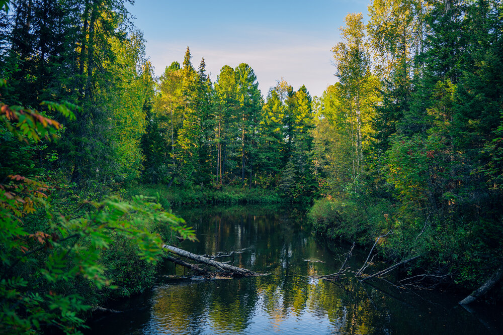 Photograph by Андрей Курочкин