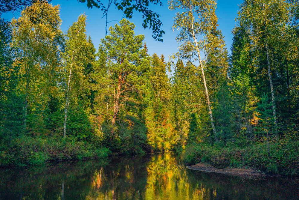 Photograph by Андрей Курочкин