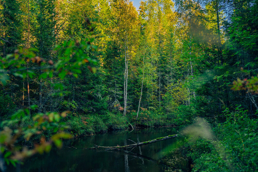 Photograph by Андрей Курочкин