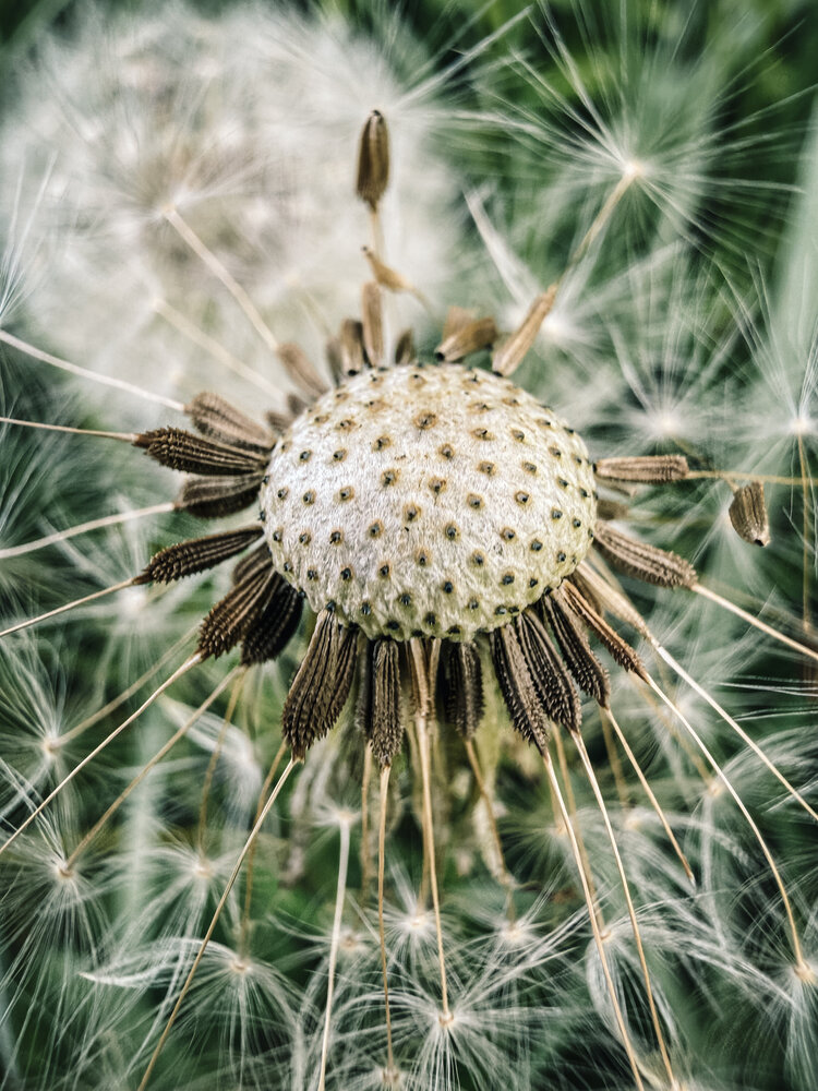 Photograph by Елена Чулюнина