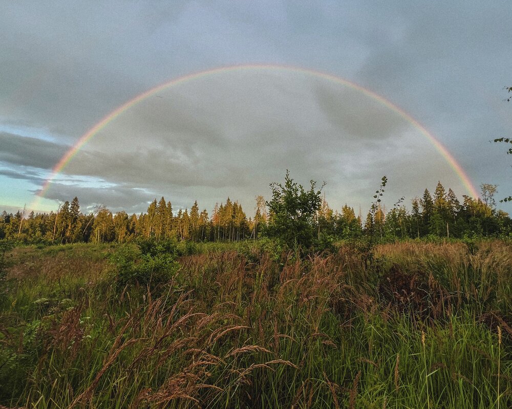 Photograph by Михаил Сорокин