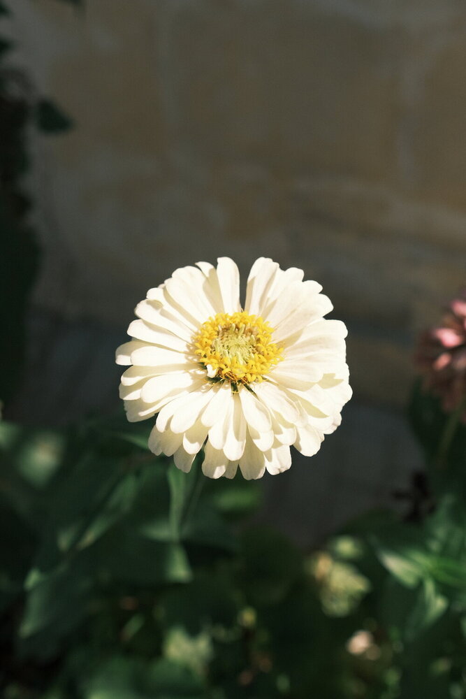 Photograph by Сергей Костылёв