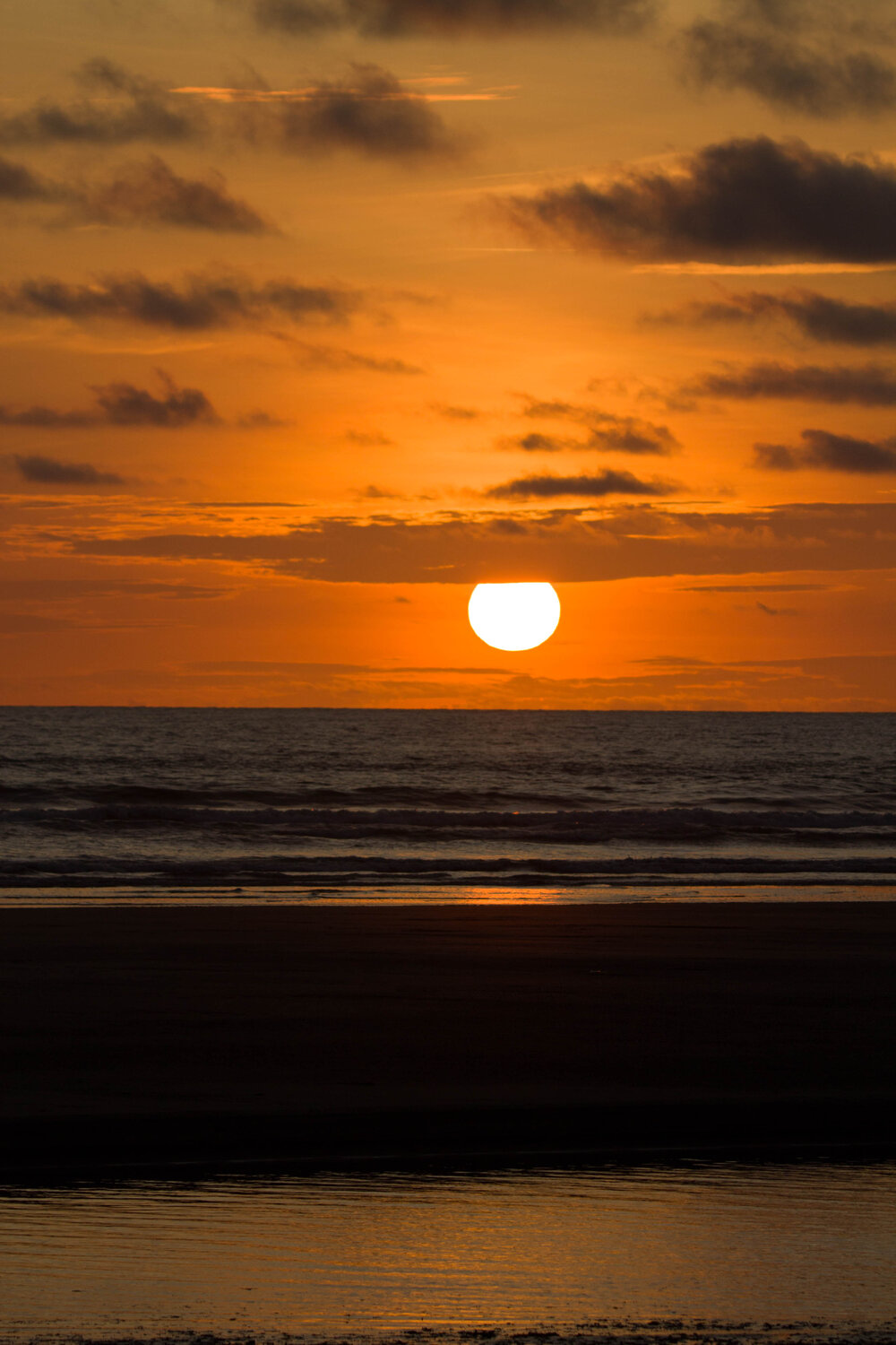 Photo #13870195