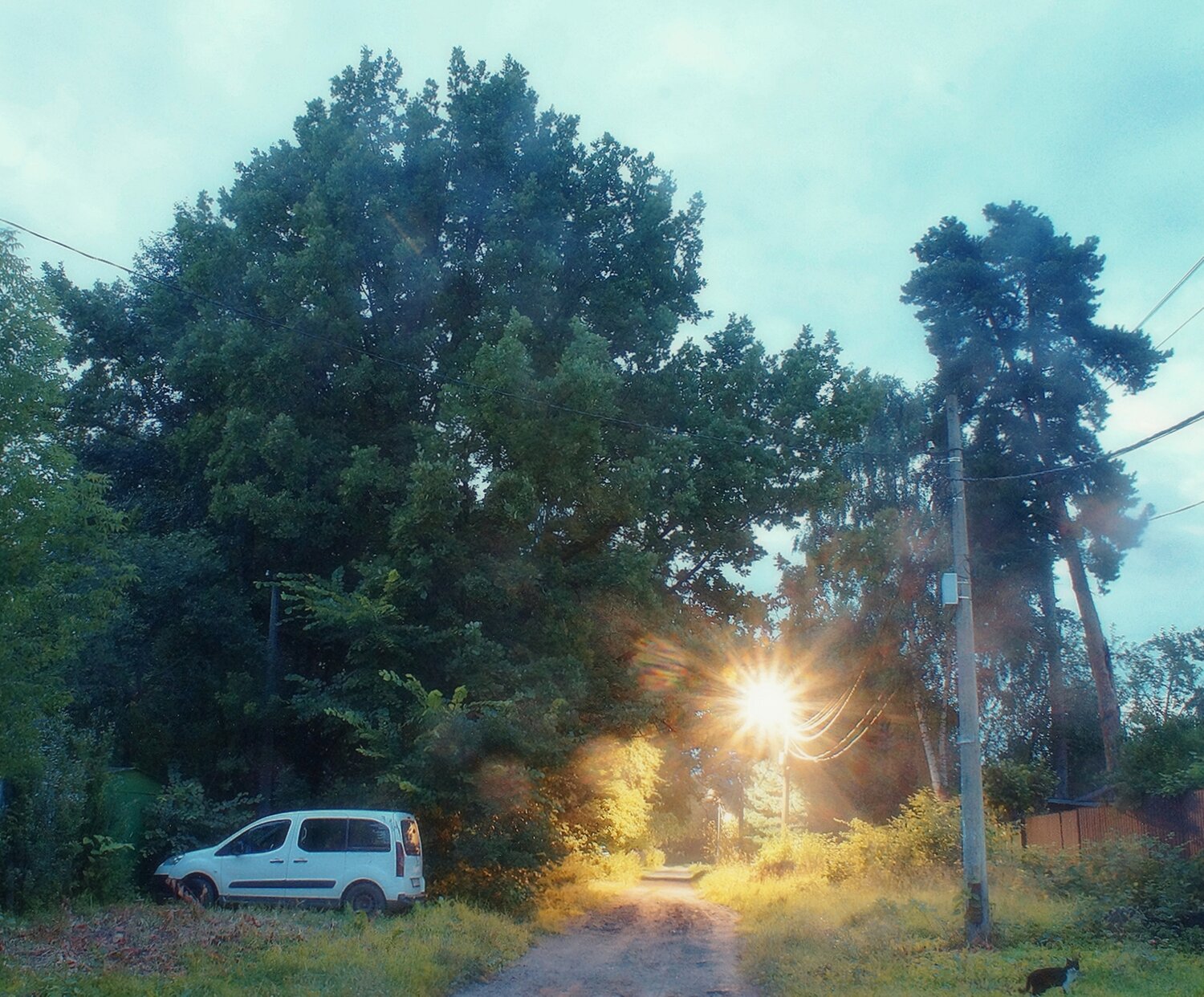 Photo #13870205