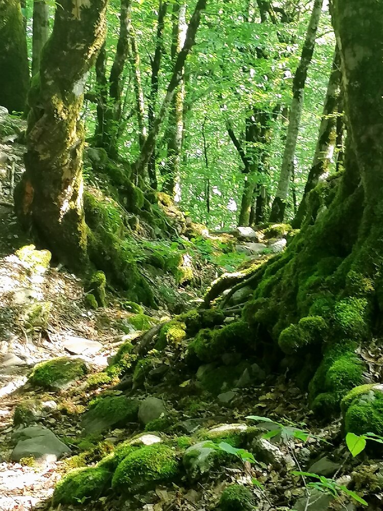 Photograph by Татьяна Александровна Терехова