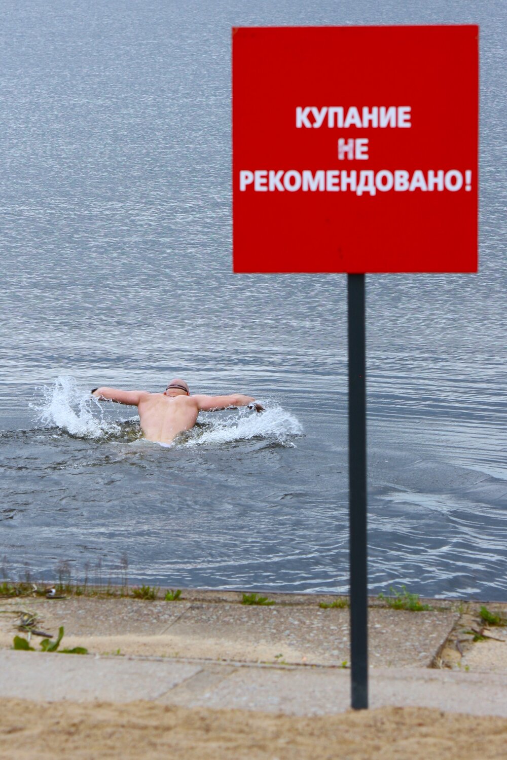 Photo #13870235