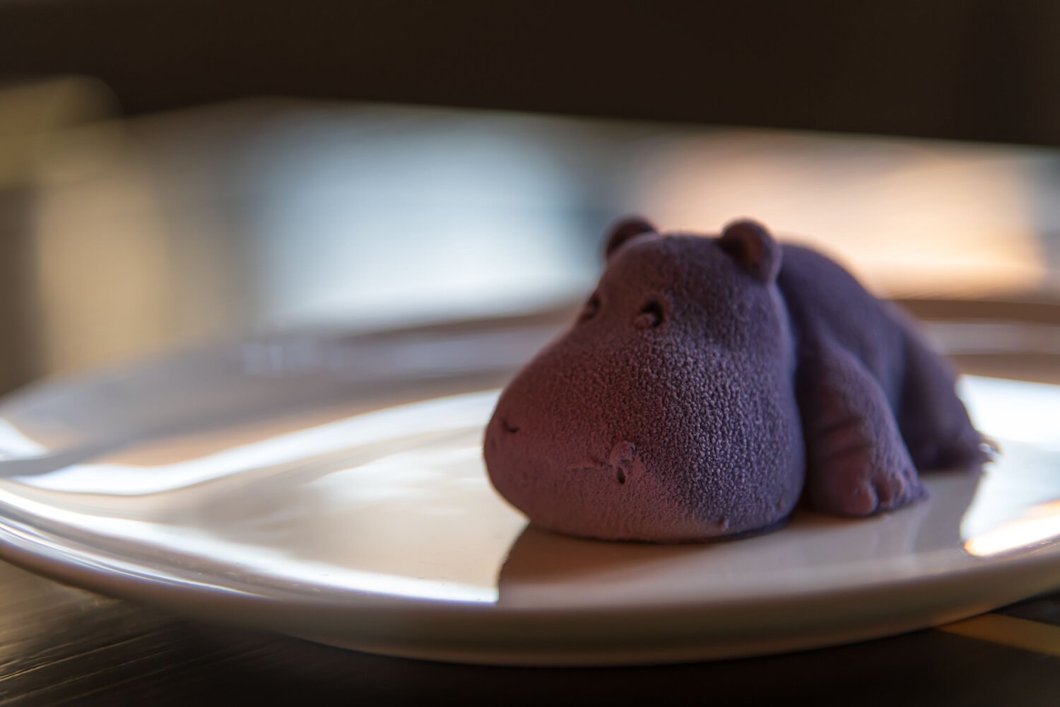 Photo #13870252