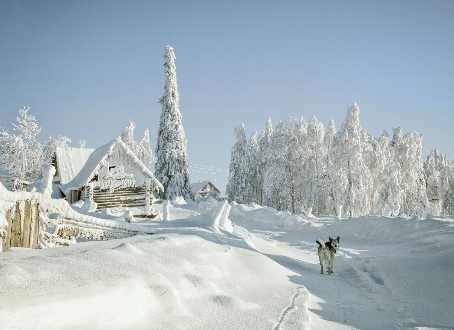Photo #13870259