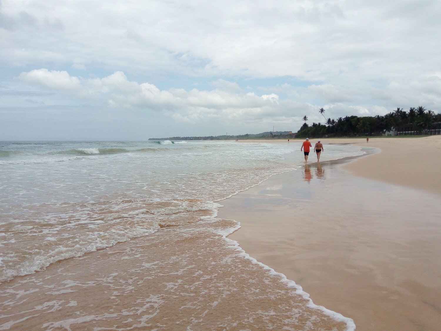 Photo #13870263