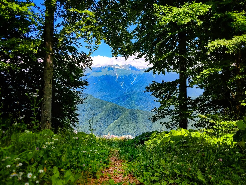 Photograph by Татьяна Александровна Терехова