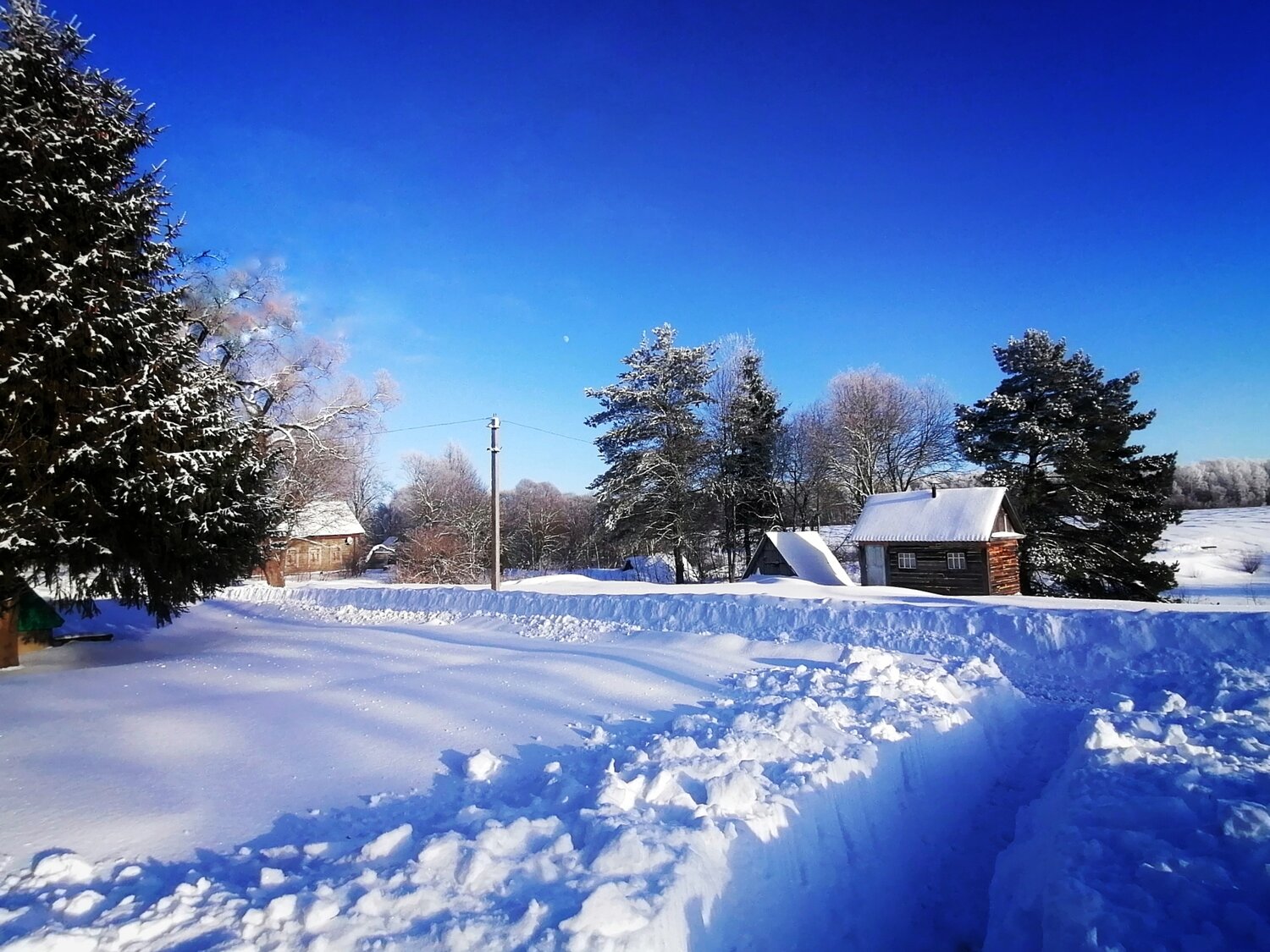 Photo #13870290