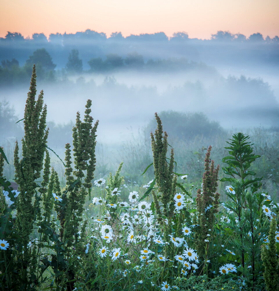 Photograph by Валерий Смирнов