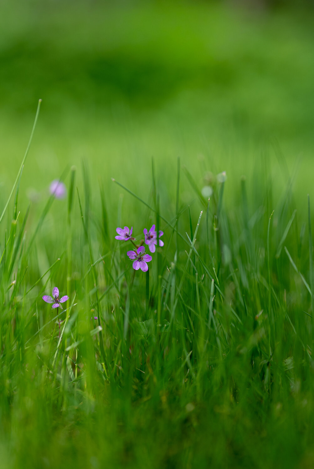 Photo #13870438