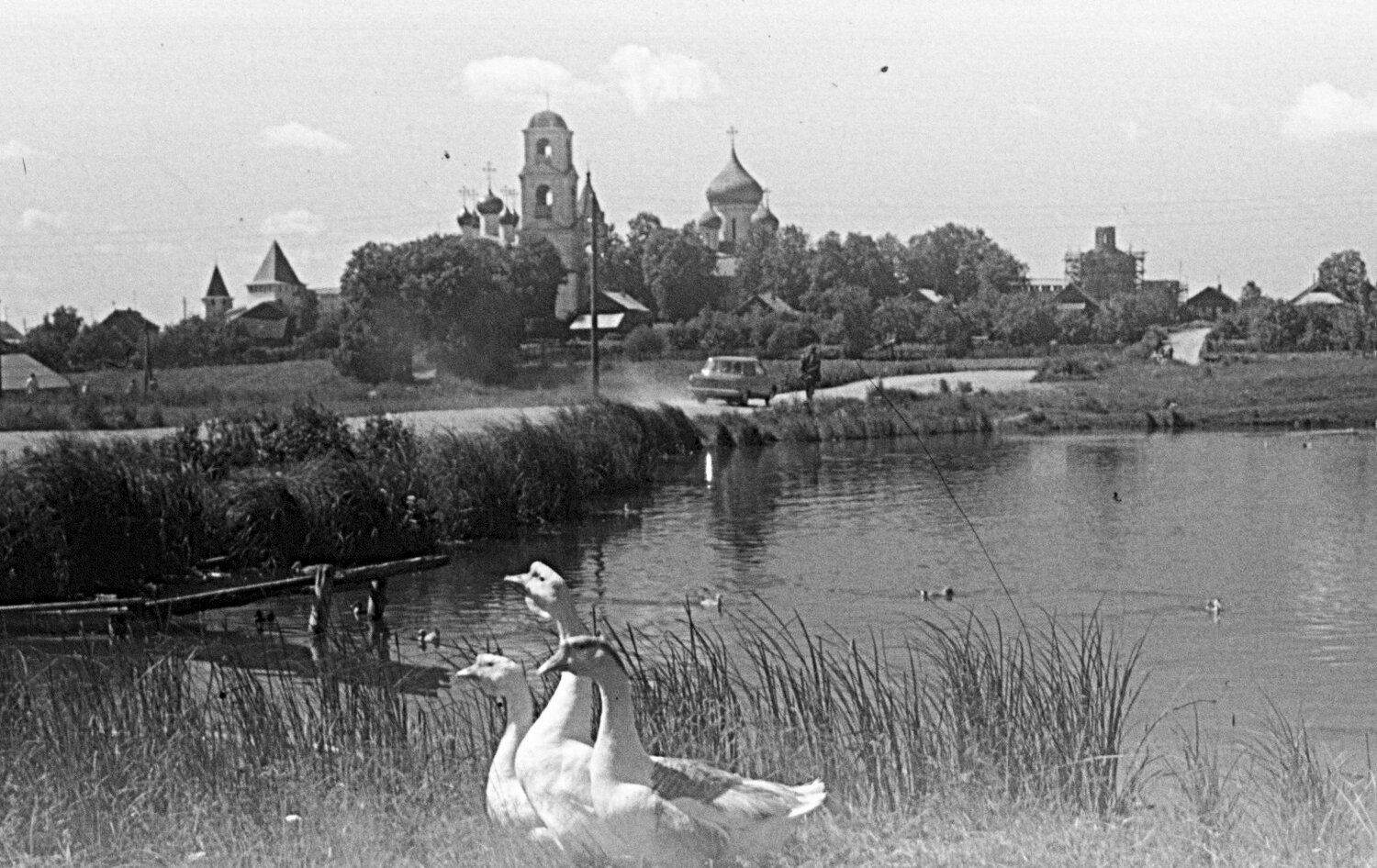 Photo #13870483