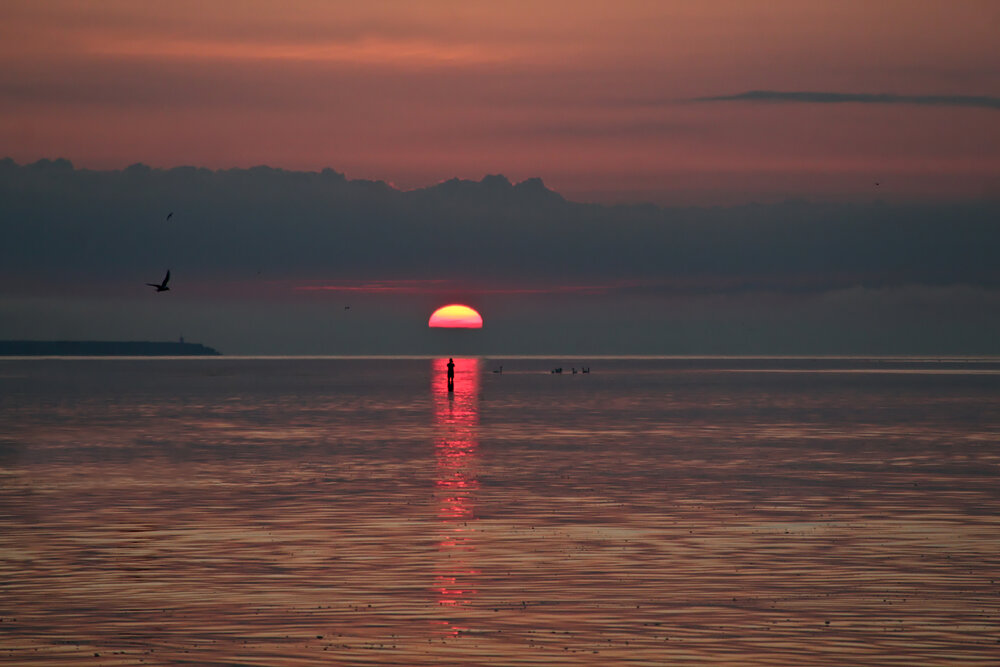 Bystander of the sunset