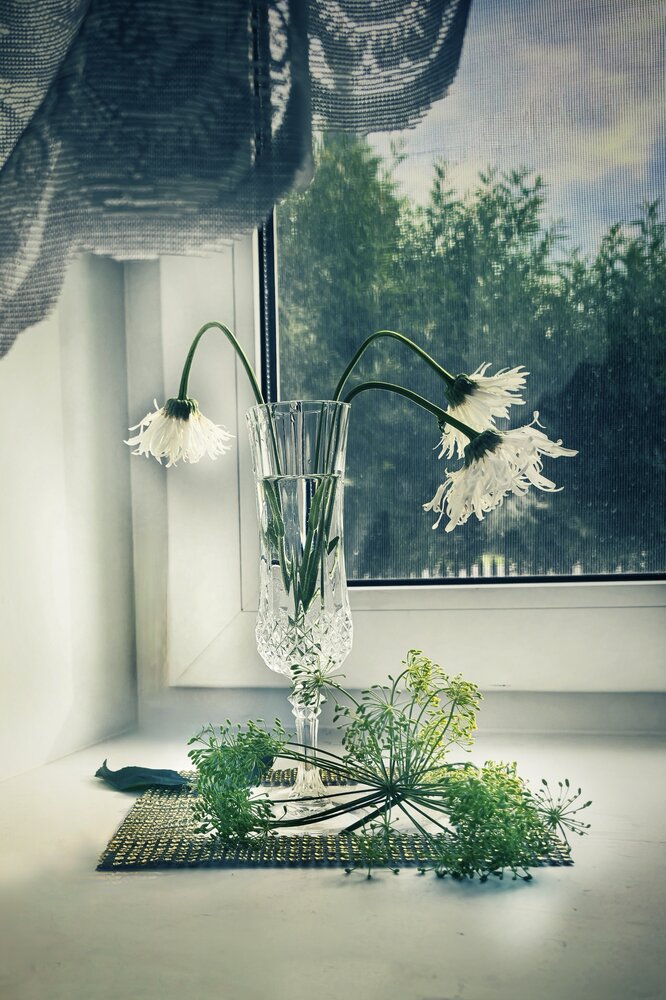 Photograph by Наталия Самкина