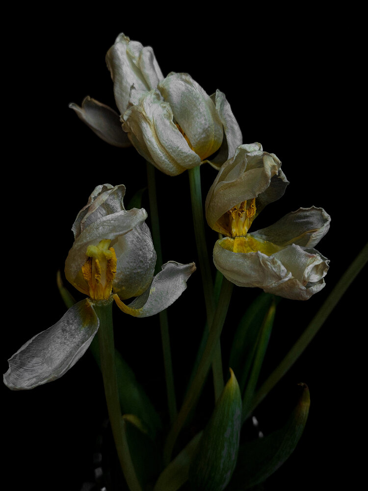 Photograph by Зульфия Вакилова