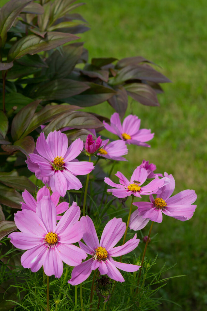 Photograph by Наталья Мухаметханова