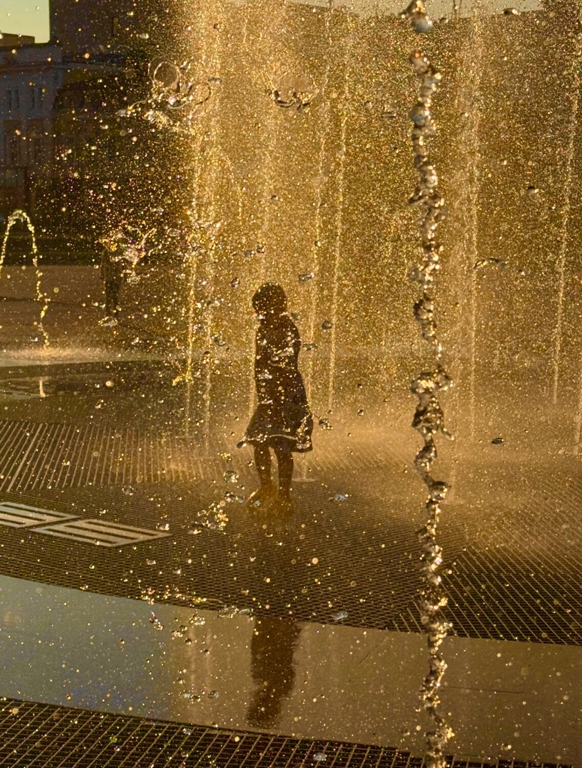 Photo #13870536