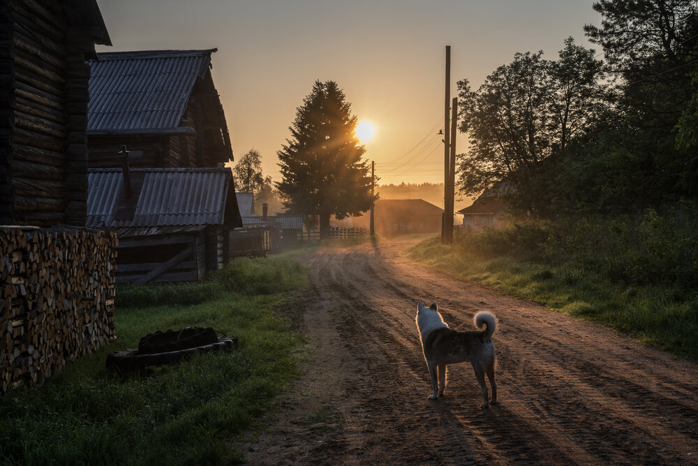 Photograph by Олег Зверев