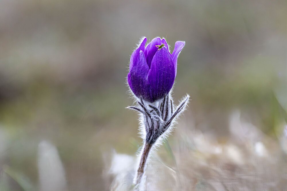 Photograph by Волынский Виктор
