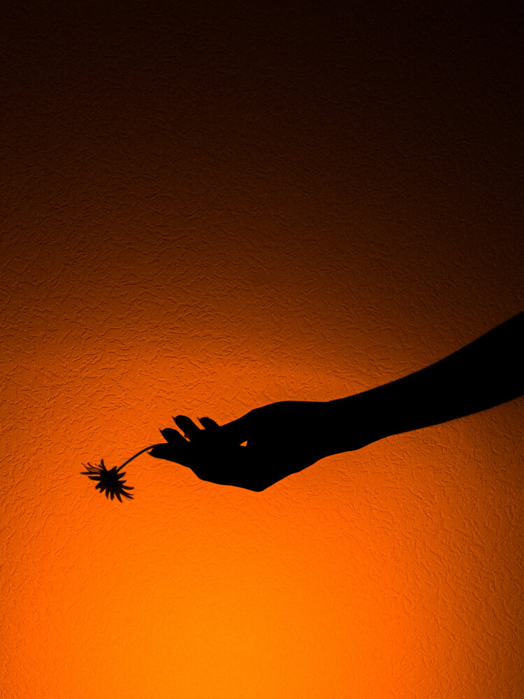 Photograph by Ася Жгенти