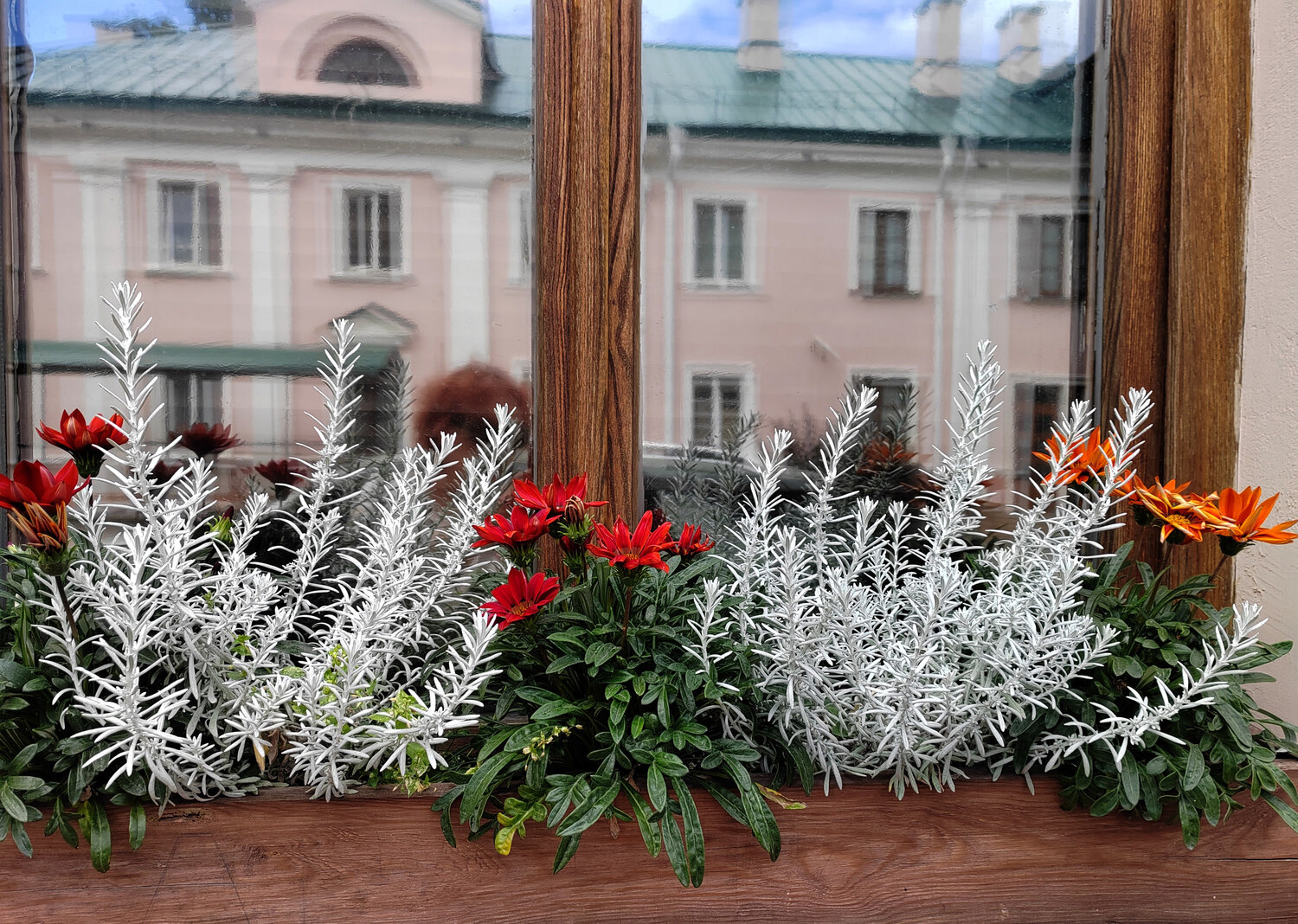Photo #13870635