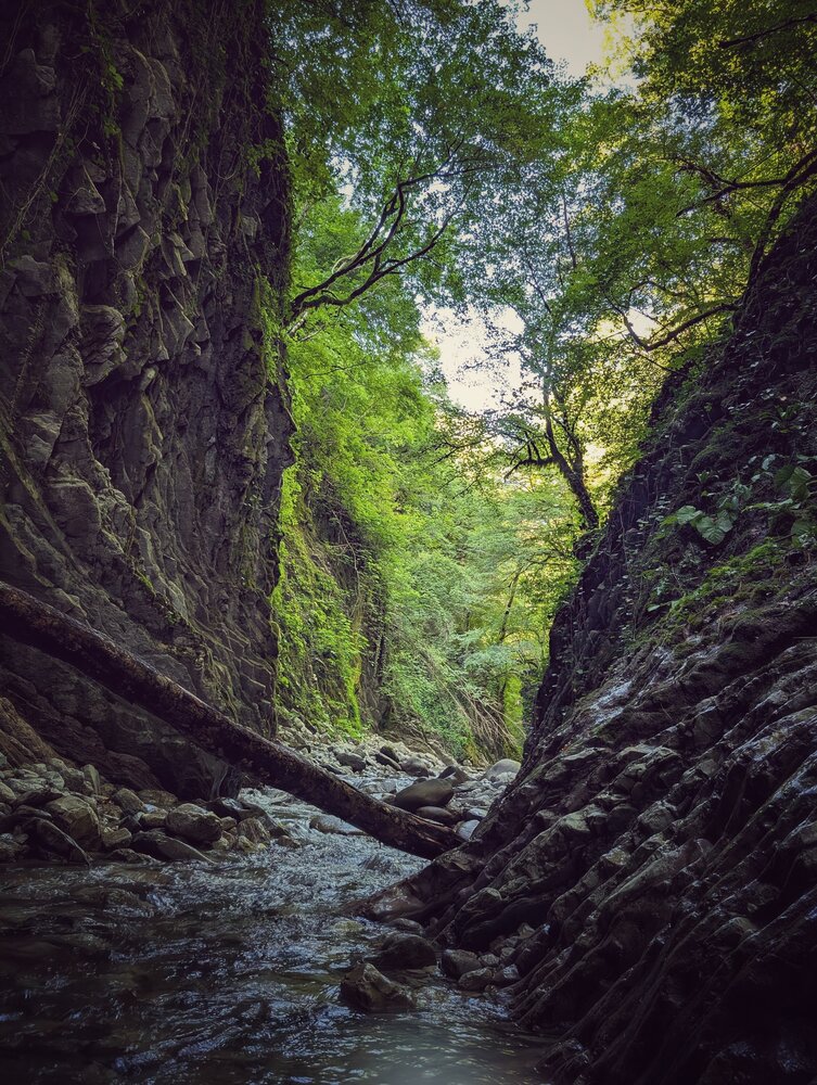 Photograph by AlexaL
