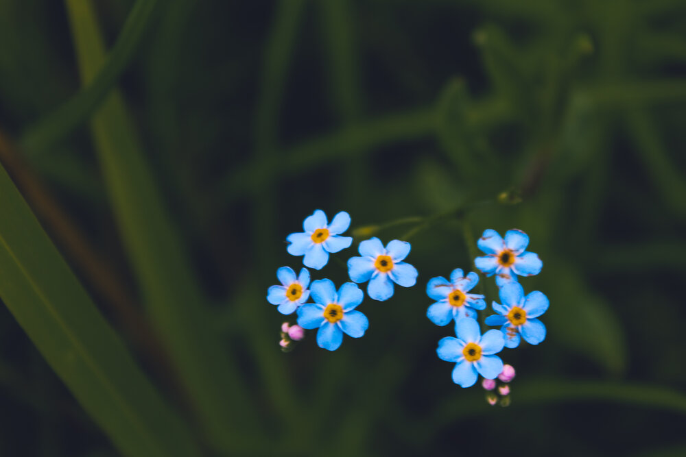 Photograph by Виктория Володько