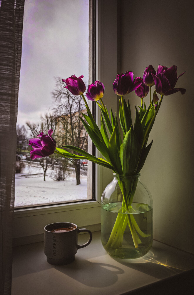 Photograph by Виктория Володько