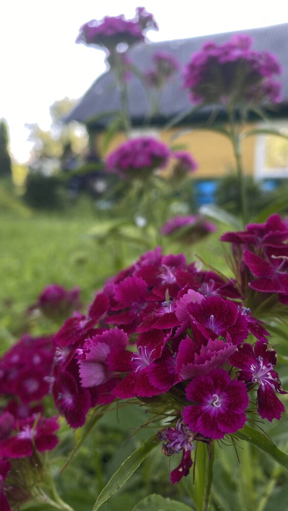 Photograph by Анна Кулакова