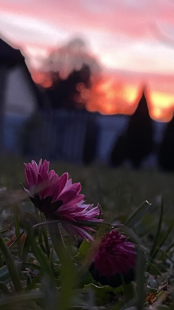 Photograph by Анна Кулакова