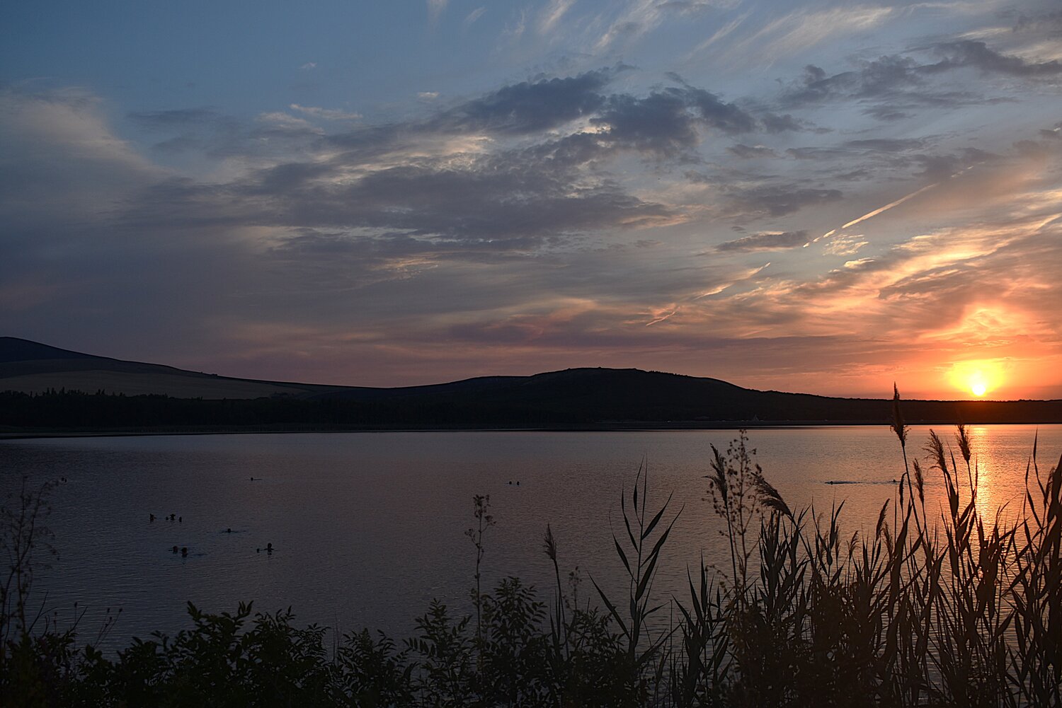 Photo #13870745