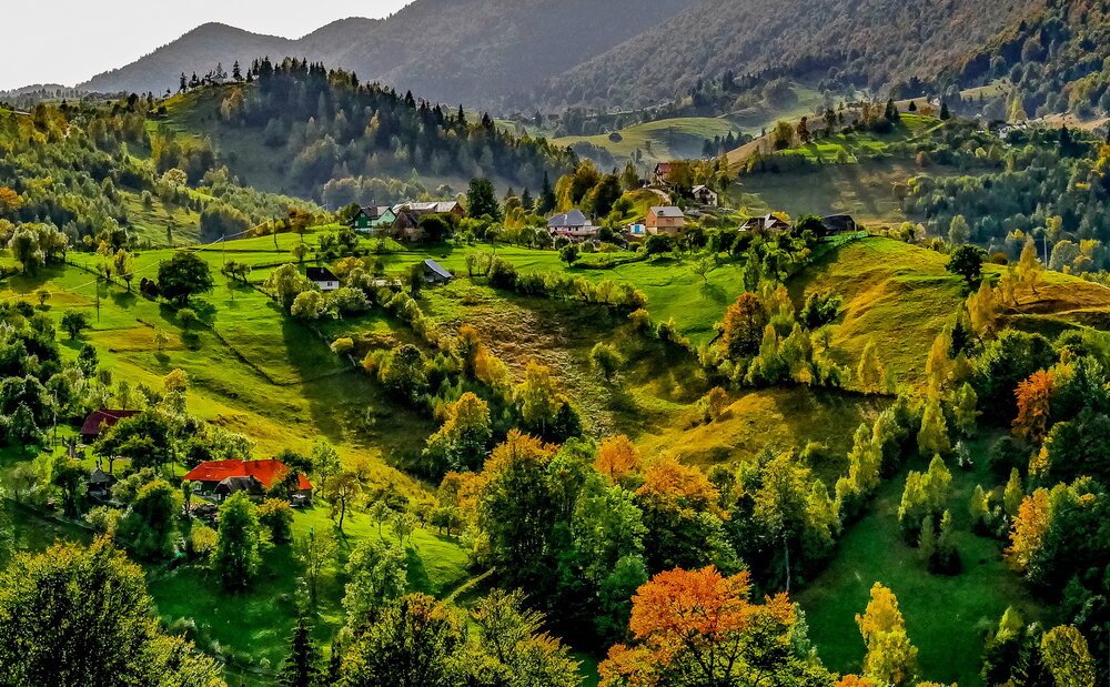 Landscape