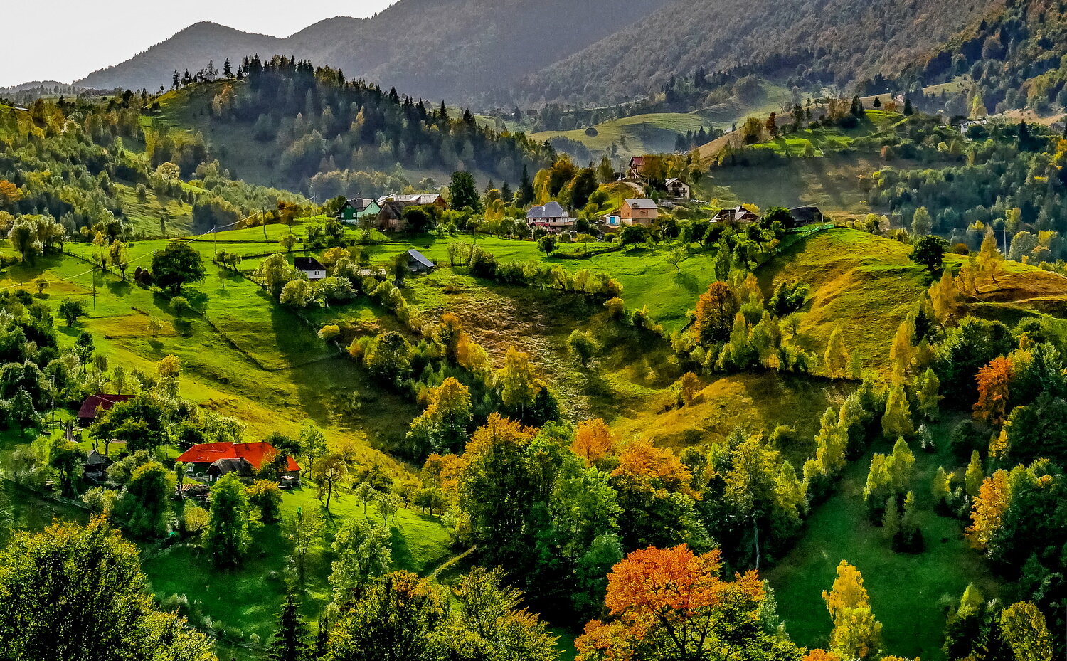 Landscape