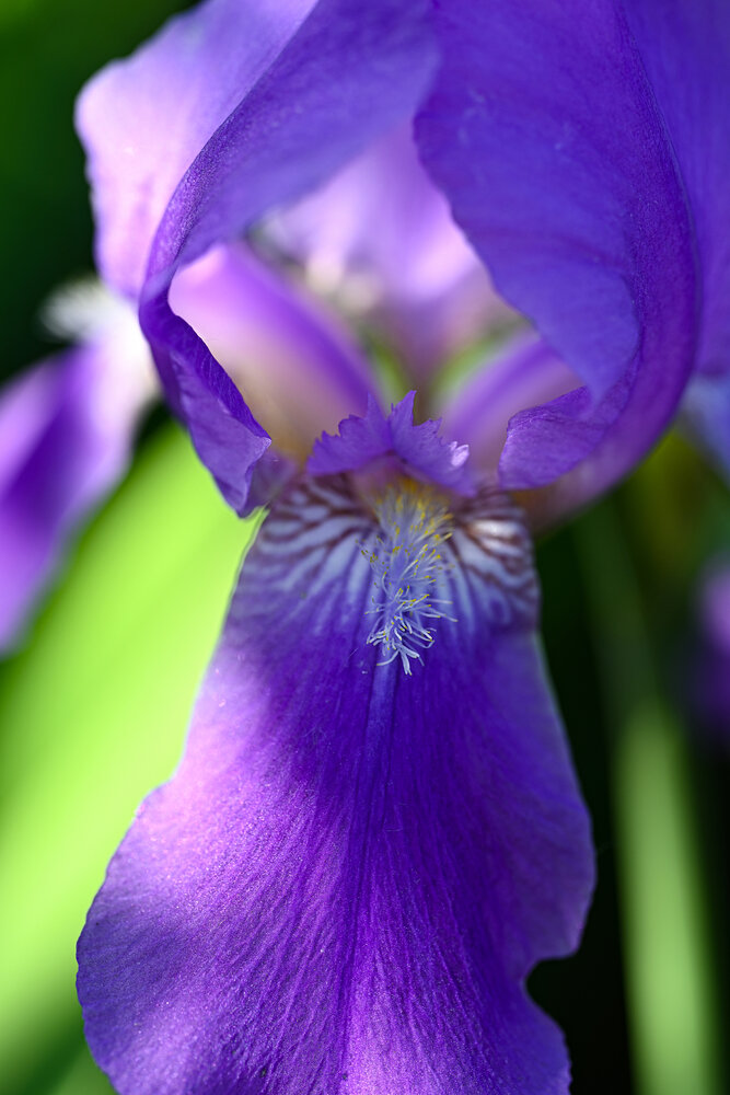 Photograph by OLGA LIZ