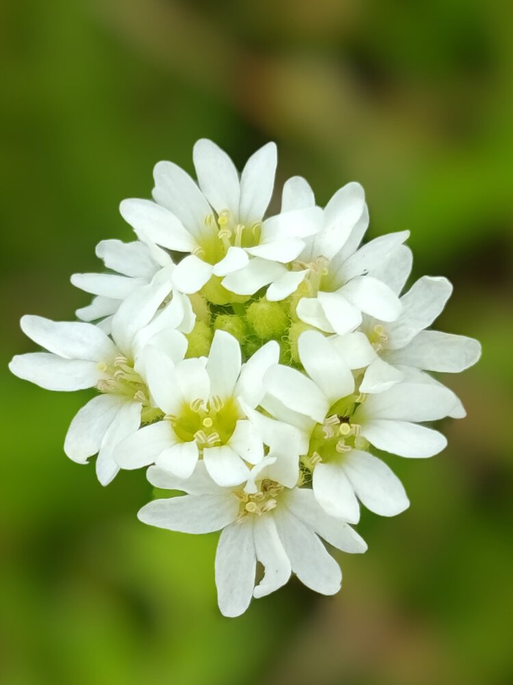 Photograph by Ольга Пашкова