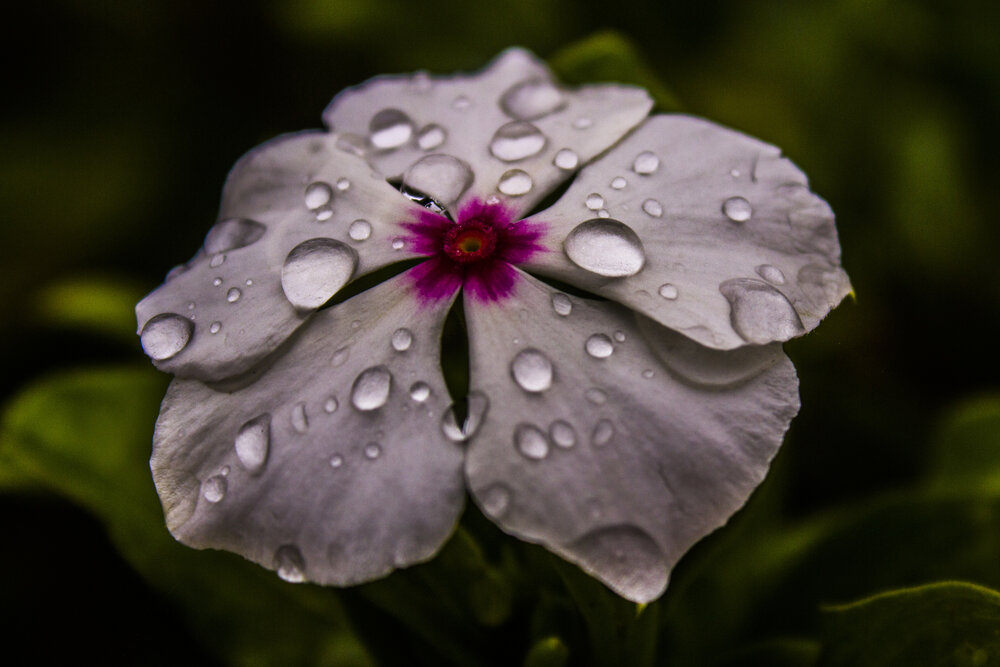 Photograph by Bruno Posnik Roloff