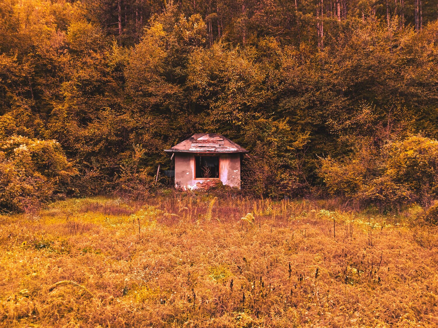 Photo #13870937