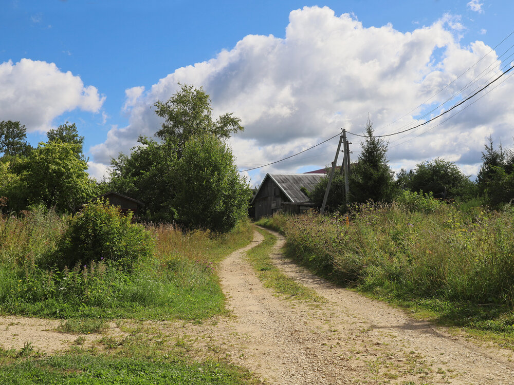 Photograph by Марианна Браун