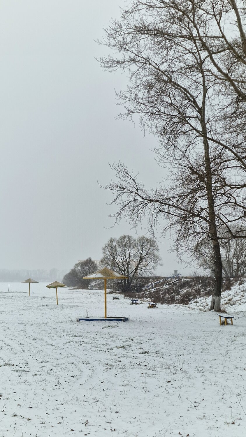 Photo #13870984