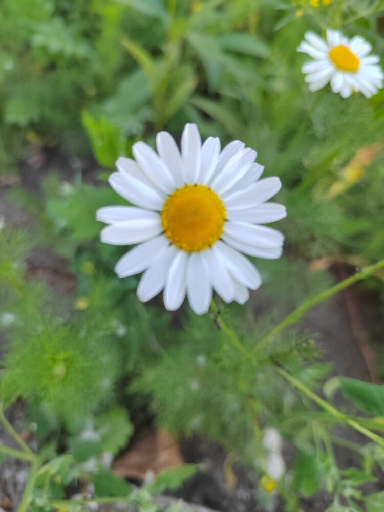 Photograph by Ирина Сидоренко