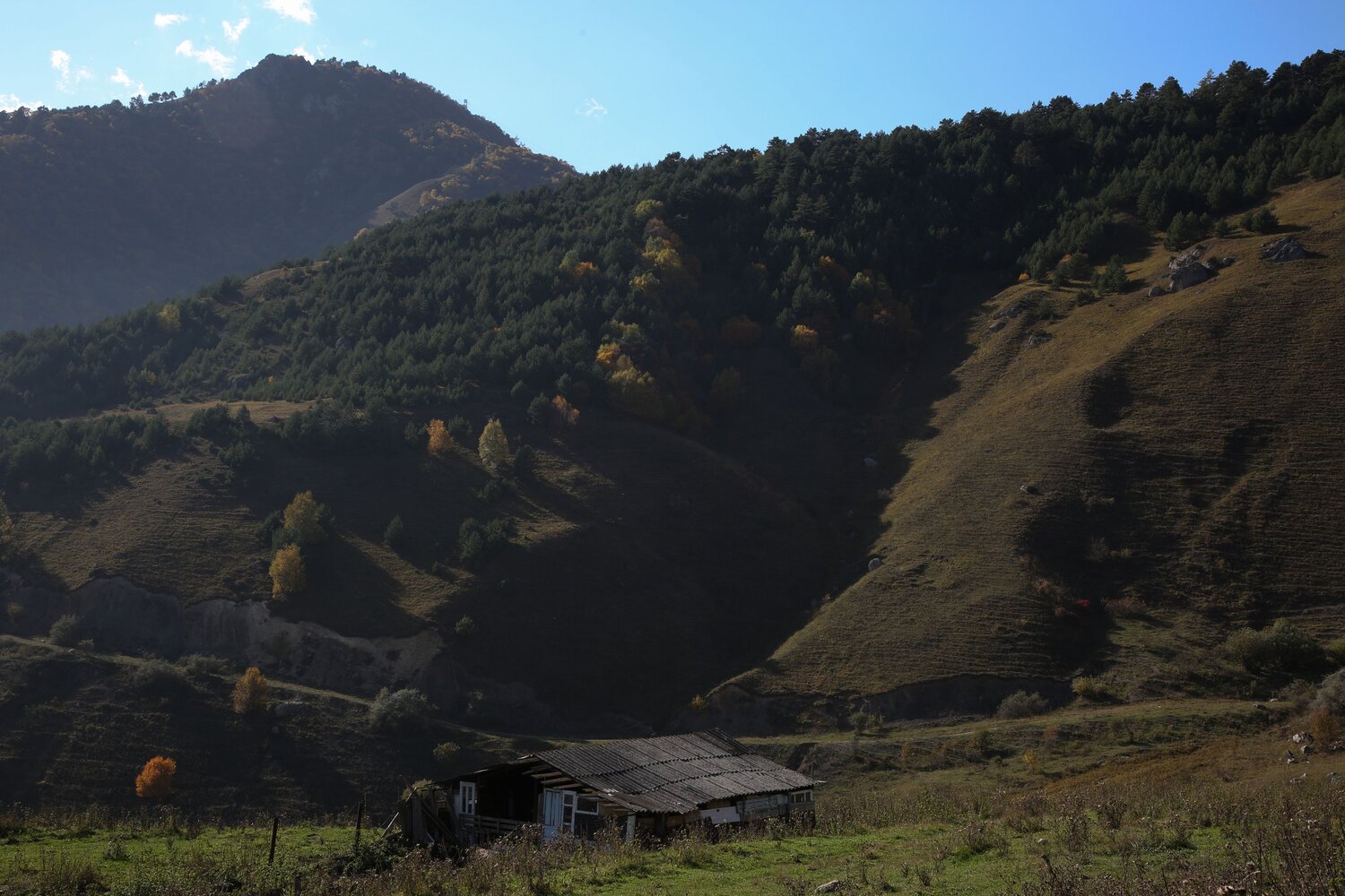 Photo #13871021