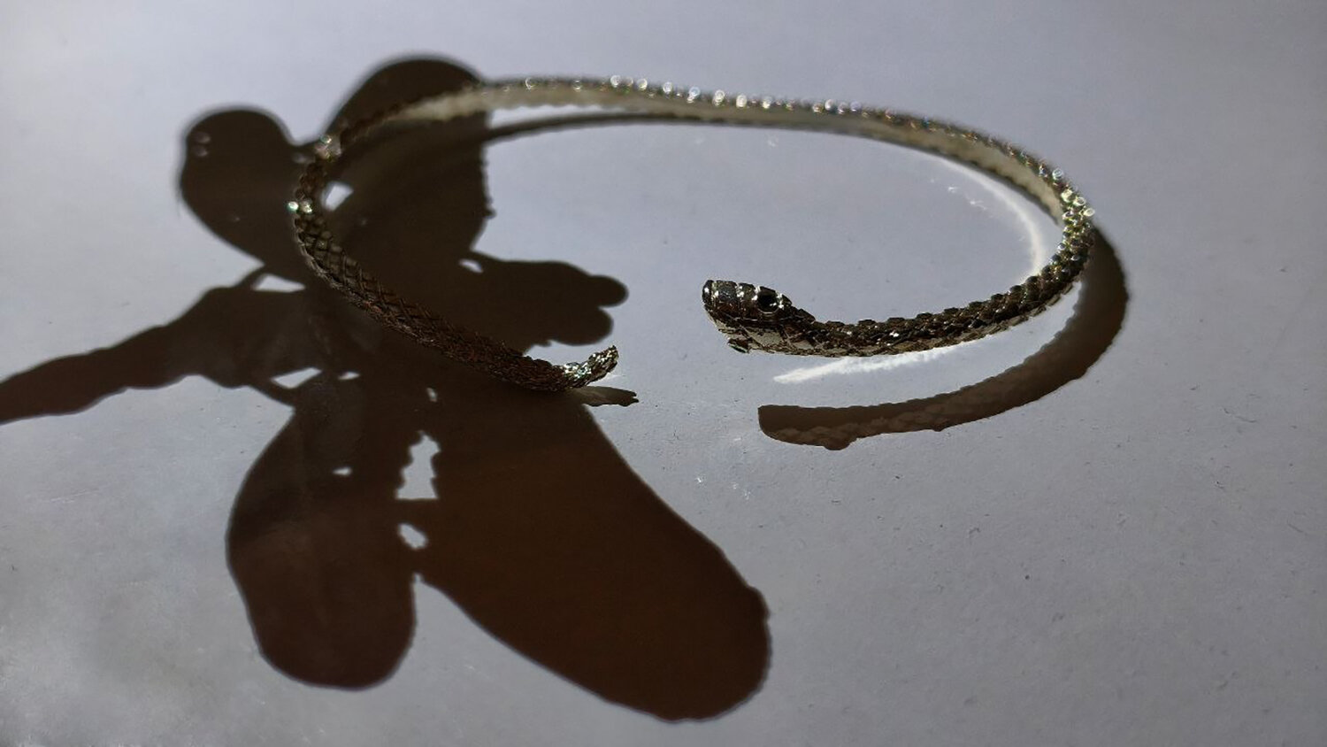 Photo #13871027