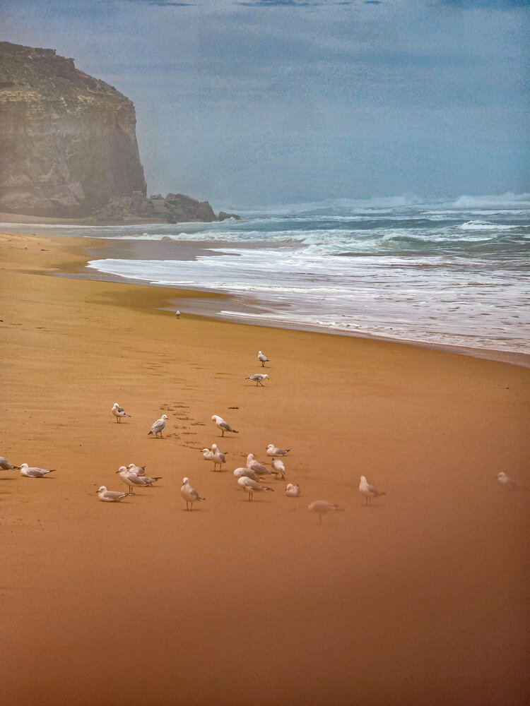Photograph by Светлана