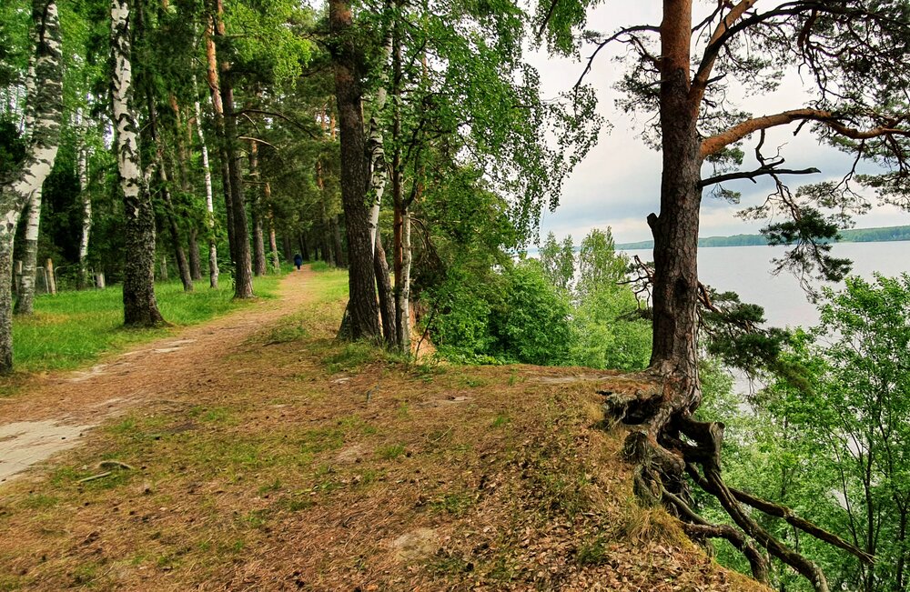 Photograph by Ольга