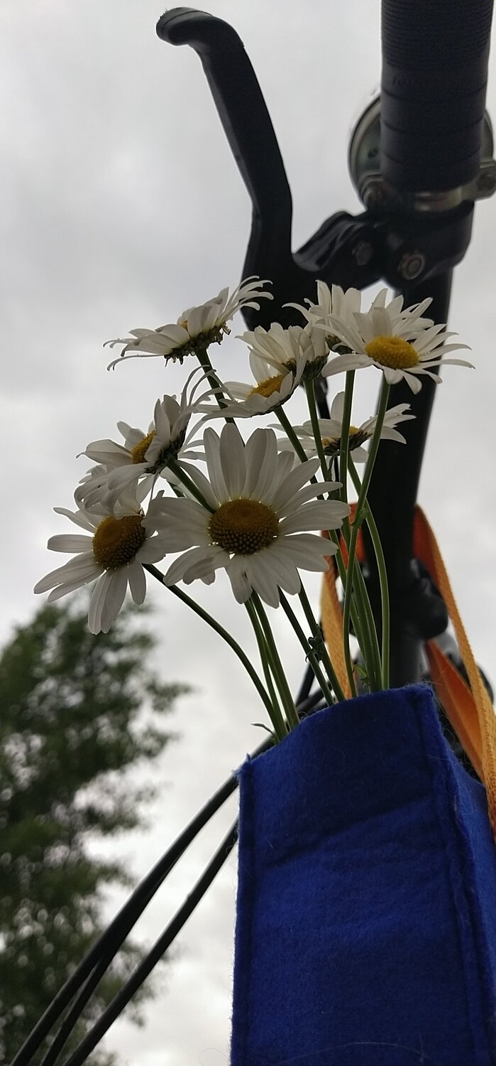 Photo #13871239